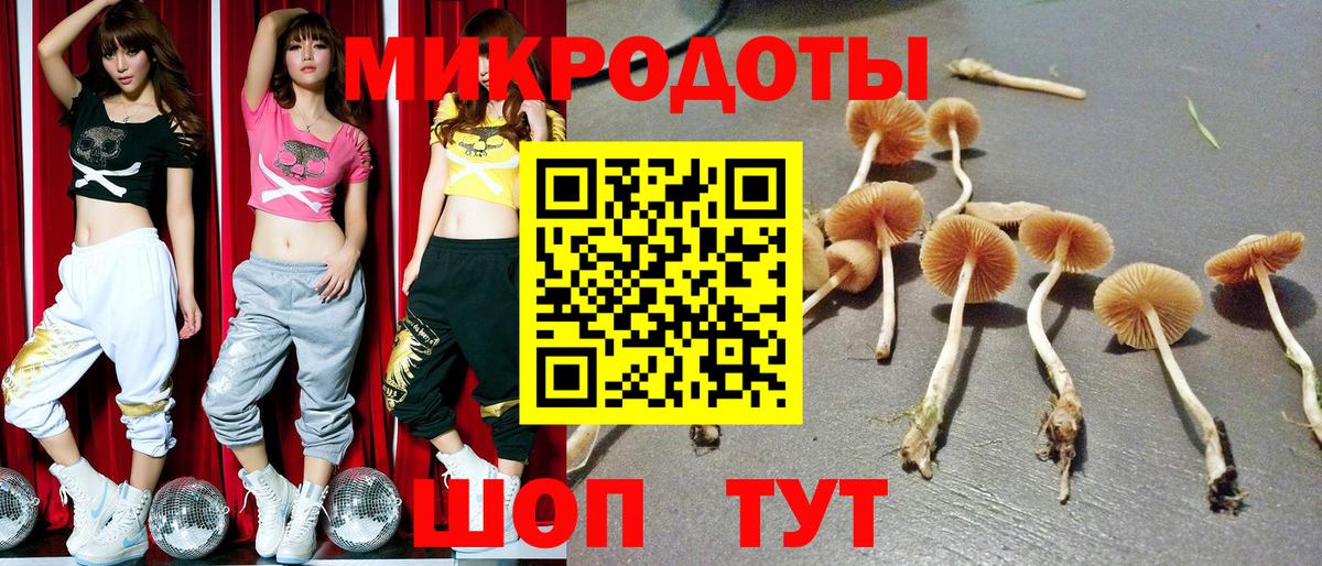 Галлюциногенные грибы Magic Shrooms Горно-Алтайск