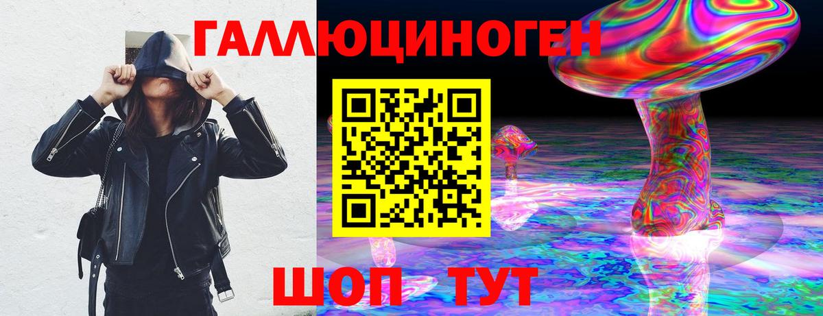 Горно-Алтайск  Псилоцибиновые грибы MAGIC MUSHROOMS  даркнет сайт  Вход с VPN 